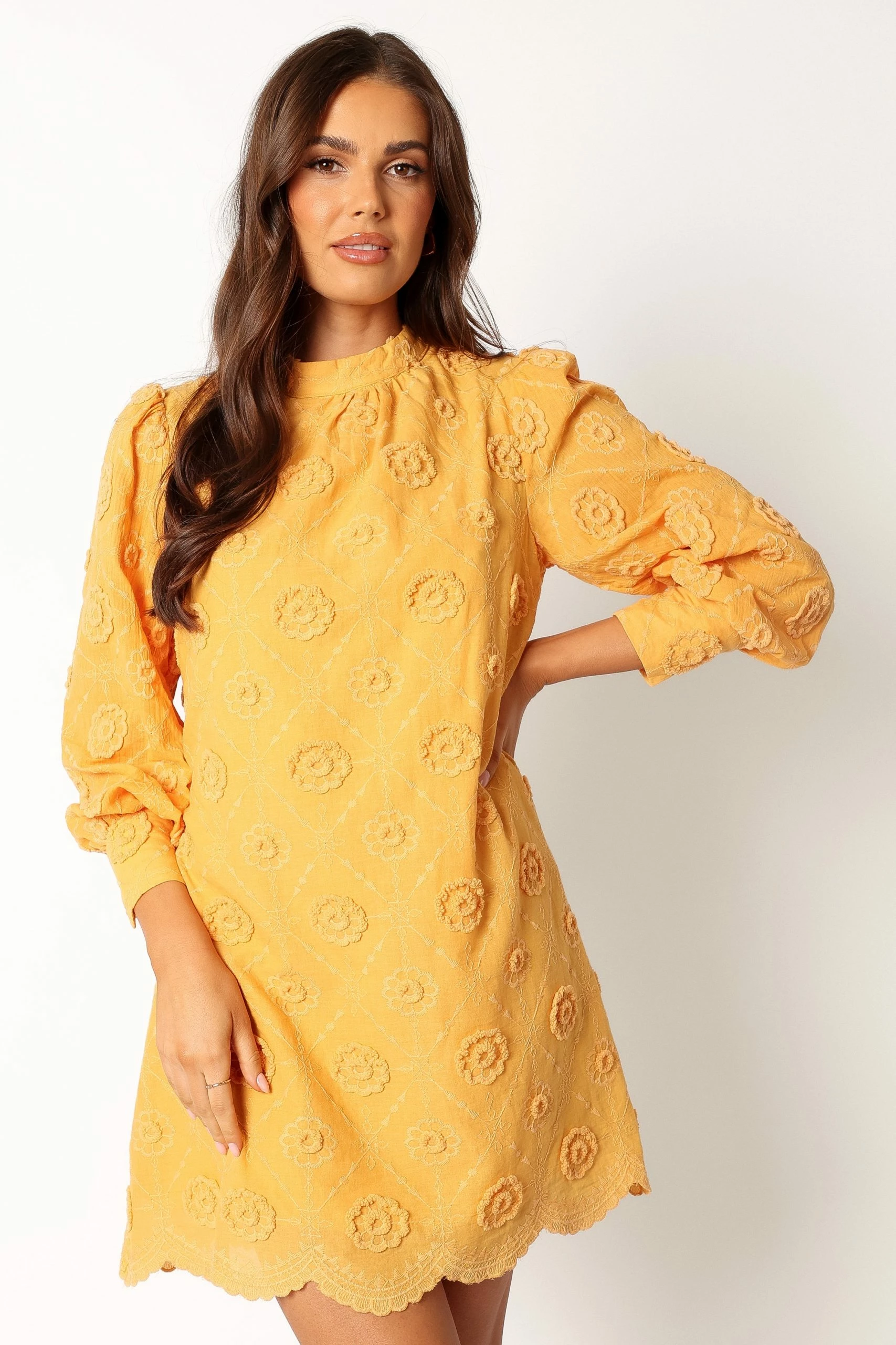 Stefania Long Sleeve Mini Dress - Mustard 7 Stefania Long Sleeve Mini Dress - Mustard - Image 7